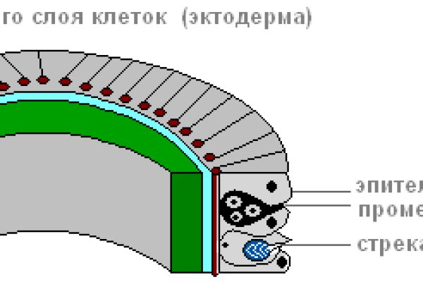 Kraken 18at зеркало