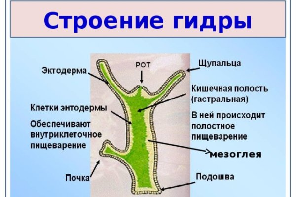 Что такое кракен площадка